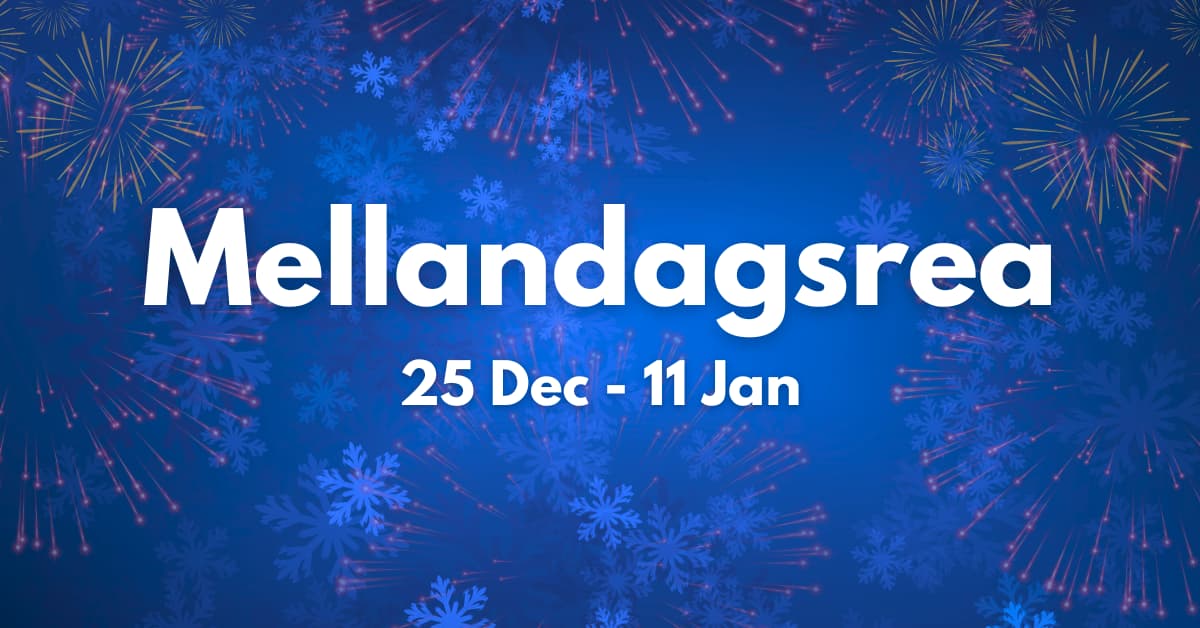 Alina Back to School 2025 kampanj